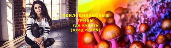 мдма Вяземский