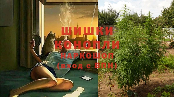 MESCALINE Горняк